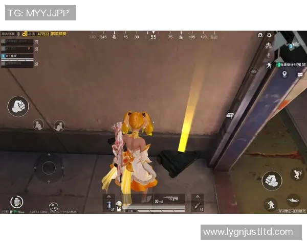 赵丽揭秘和平精英成功背后的秘密与发展策略